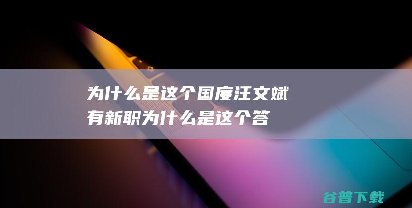 为什么是这个国度 汪文斌有新职 (为什么是这个答案)